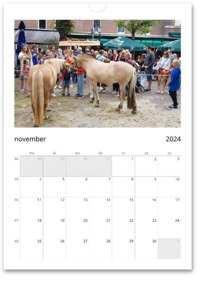 Kalender Voorschoten Horse Days Edition