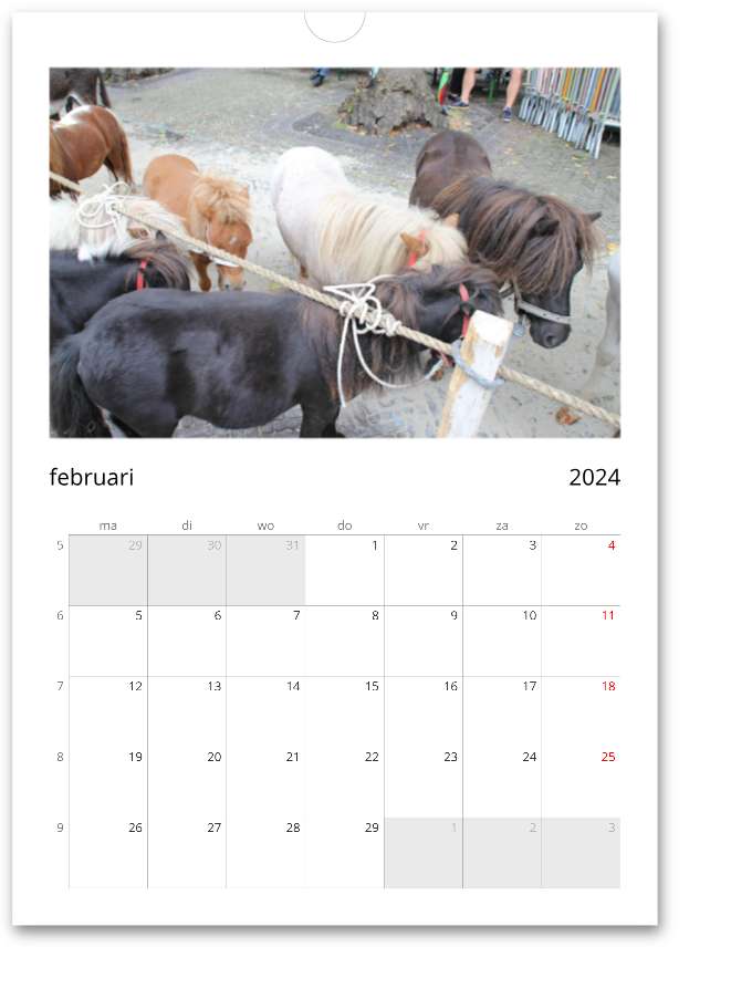 Kalender Voorschoten Paardendagen Editie