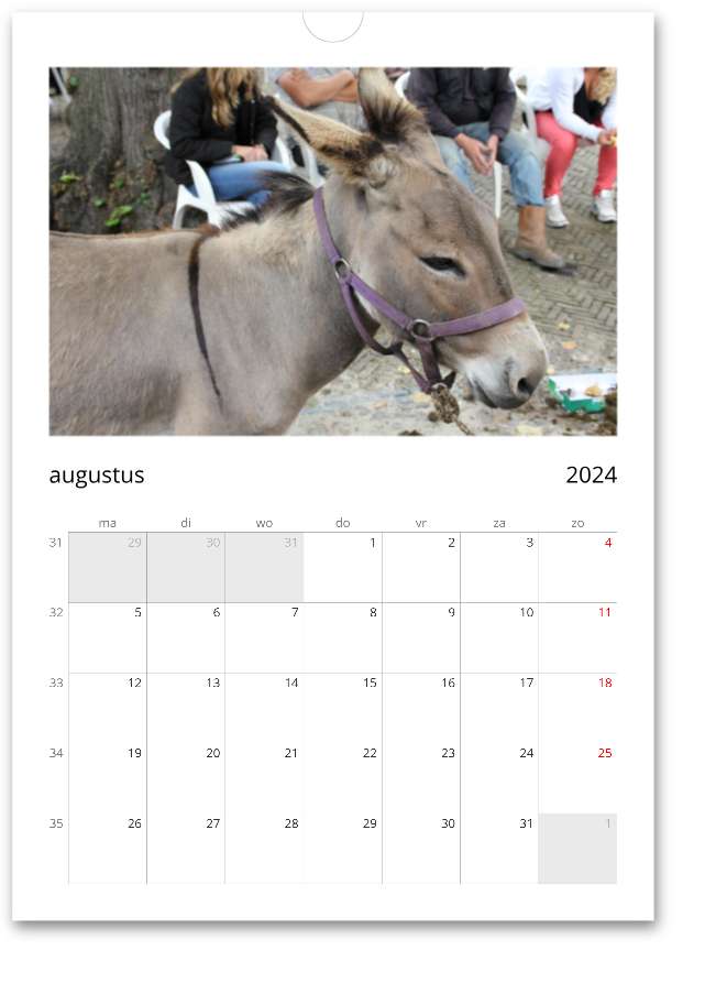 Kalender Voorschoten Horse Days Edition