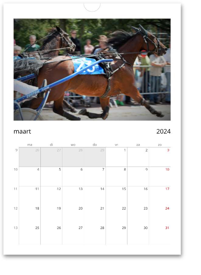 Kalender Voorschoten Paardendagen Editie