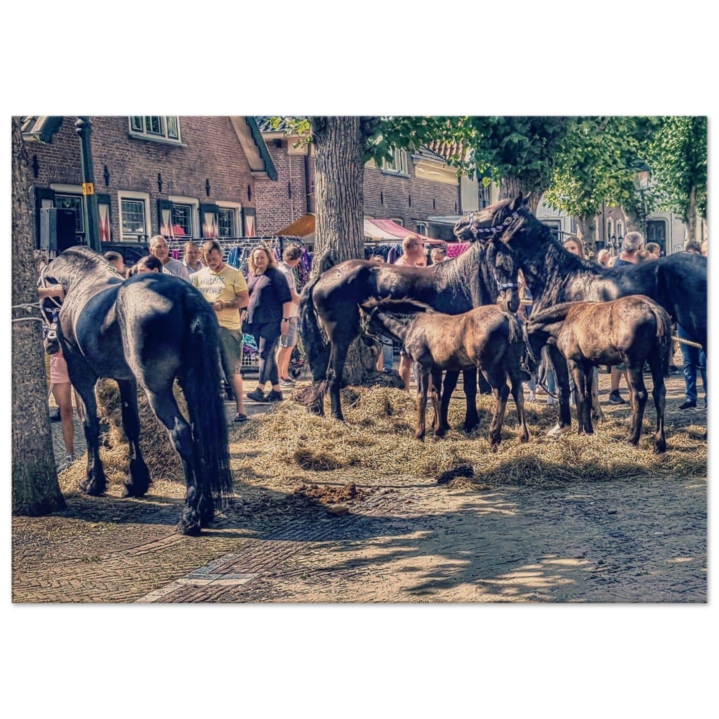 Canvas Paardenmarkt - Webshop I Love Voorschoten