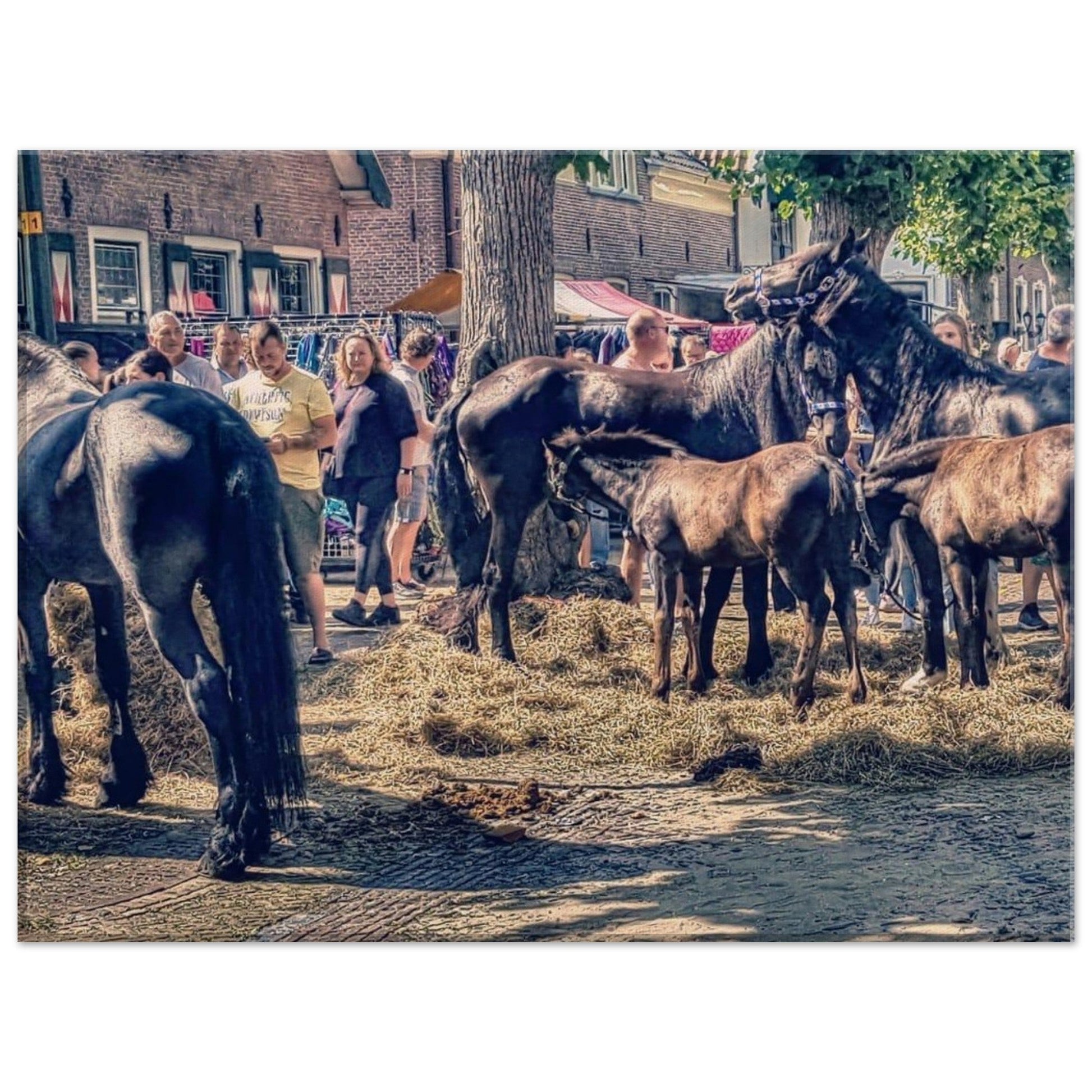 Canvas Paardenmarkt - Webshop I Love Voorschoten