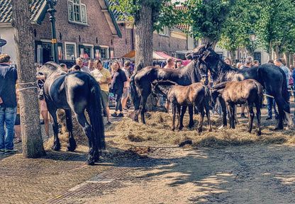 MOK Paardenmarkt Voorschoten - Webshop I Love Voorschoten