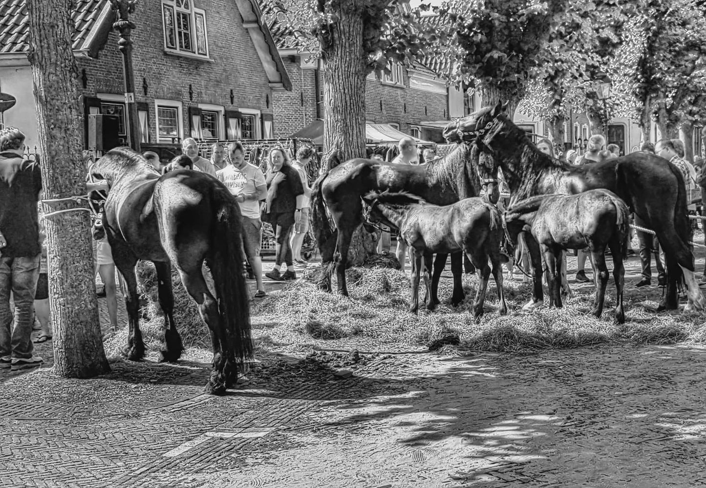 MOK Paardenmarkt Zwart/Wit - Webshop I Love Voorschoten
