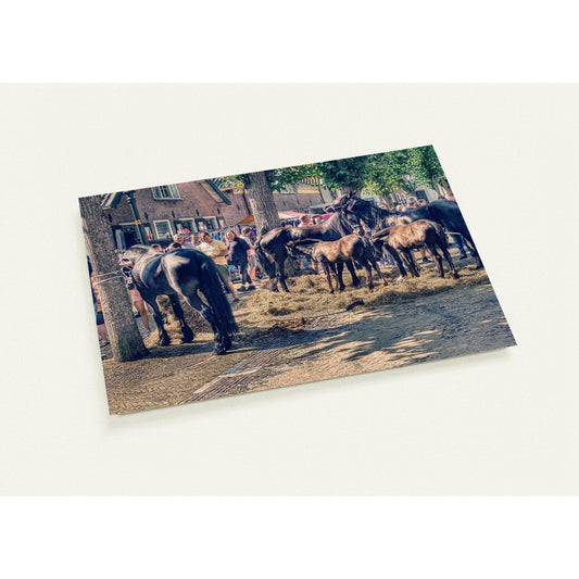 Set von 10 Postkarten (Standardumschläge) Pferdemarkt
